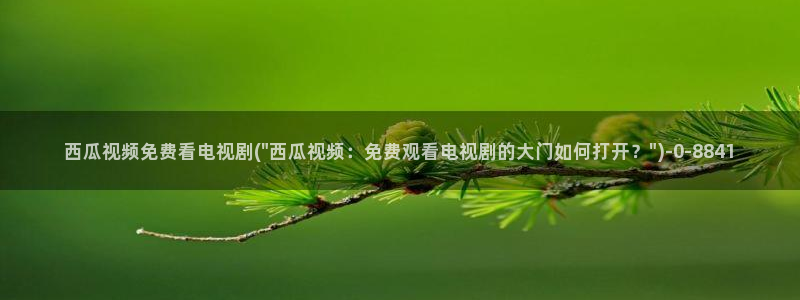 西瓜电影在线观看电视连续剧