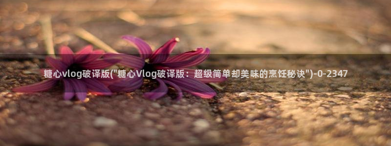 糖心vlog网站免费观看