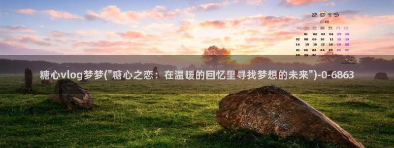 糖心vlog无限次数