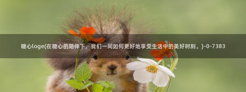 糖心vlog所有演员：糖心loge(在糖心的陪伴下，我们一同