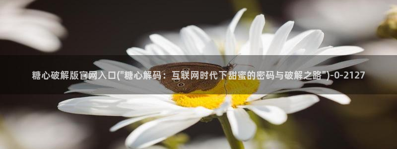 糖心vlog中国区：糖心破解版官网入口(\