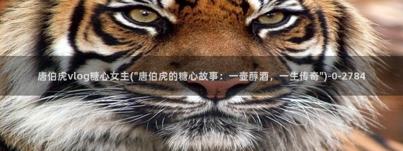 糖心vlog现在