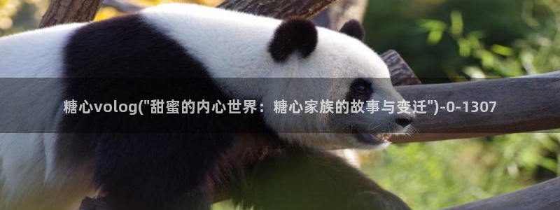 糖心vlog视频破解版：糖心volog(\