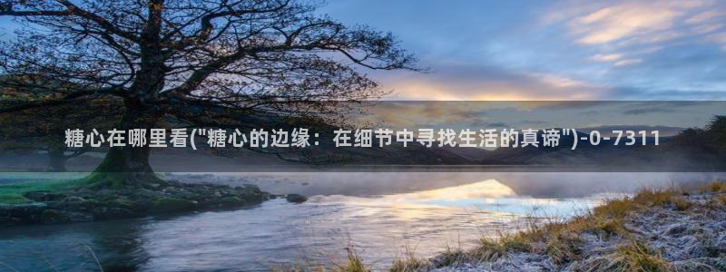 糖心vlog在线观看_糖心vlog小桃