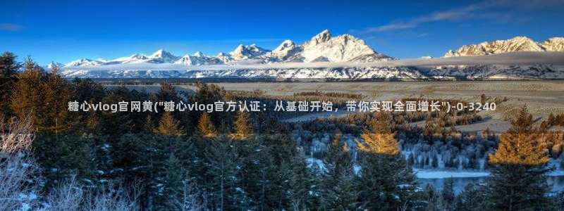 糖心少女vlog：糖心vlog官网黄(\