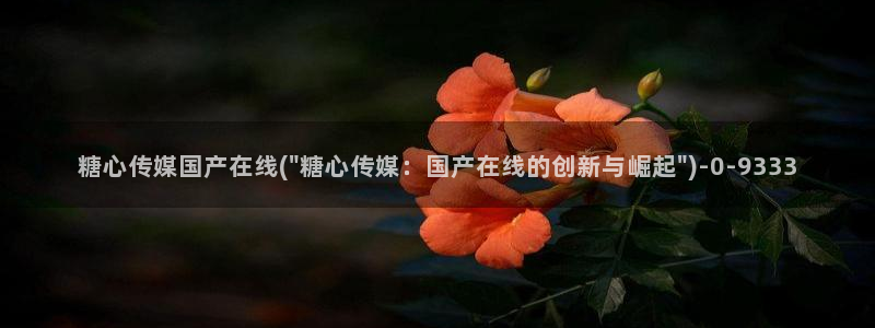 糖心vlog网页入口