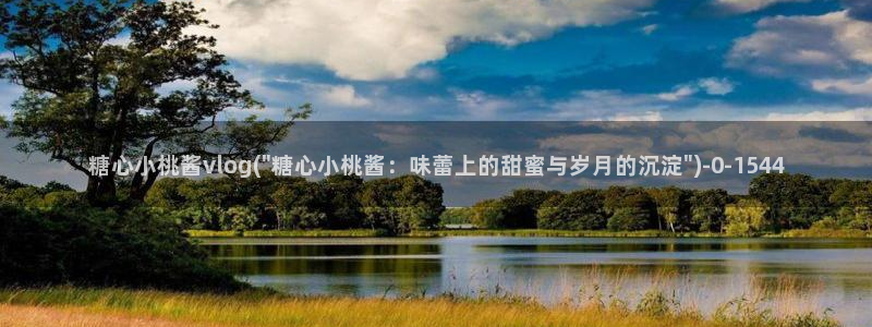 糖心vlog视频在线看：糖心小桃酱vlog(\